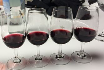 Campo Viejo Red Wine Guide
