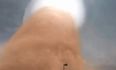 Video: Terrifying tornado hits workers’ camp in North Dakota; one guy finds it strangely hilarious