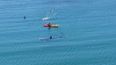 Pics: Incredible photos of people in West Cork swimming right beside a Basking Shark
