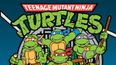 Pic: The evolution of the Teenage Mutant Ninja Turtles through the years is great