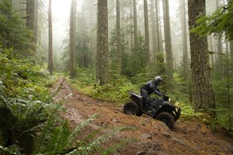Action Packed: Activities To Do Around Ireland