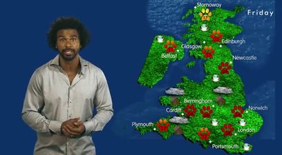 Video: So… former WBA heavyweight champion David Haye is presenting a weather forecast for dogs now
