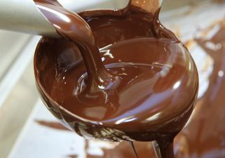 Best. Job. Ever. You can now do a PhD in chocolate studies…