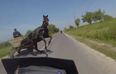Video: This close call compilation will have you clinging to the edge of your seat