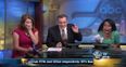 Video: A bat decided to wreck a live news broadcast this week