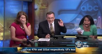 Video: A bat decided to wreck a live news broadcast this week