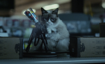 Video: Everyone stop what you’re doing. The first trailer for Grumpy Cat the movie is here…