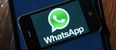 WhatsApp on your laptop looks to be on the way