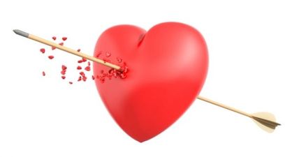 The plougher of love: find the perfect match at this year’s Ploughing Championships