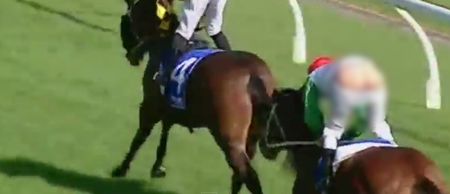 Video: Jockey suffers an unfortunate wardrobe malfunction in Australia [NSFW]