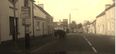 Video: Two rogue donkeys run amok in Cavan