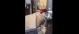Video: Airbnb have banned the user who destroyed this house in Canada