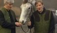 Pic: Horse waits patiently outside Dublin shop while its owner does the shopping