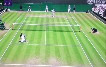 Vine: That Dustin Brown lad really isn’t bad at tennis, is he?