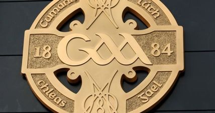 PIC: This GAA match report from Wexford is absolute gold