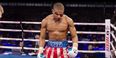 VIDEO: The brand new trailer for Rocky spin-off Creed is here to box your face in