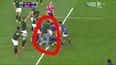 VIDEO: Incredible scenes as South Africa fan invades pitch in attempt to take part in play