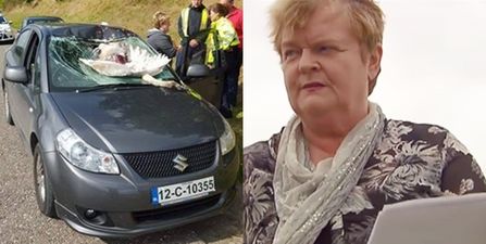 VIDEO: “They tell you to expect everything when you’re driving but you don’t think a swan is going to hit your car”