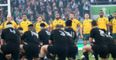 TWEETS: The world reacts to an enthralling first half in the RWC Final