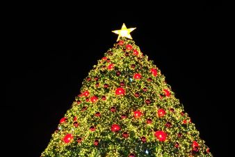 Dublin Flea Christmas Market closes following “insufficient infrastructure and support”