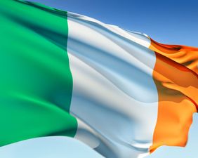 PIC: This Irish bar in Tallinn really needs a history lesson