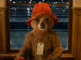 PICS: A doggie that looks exactly like Paddington Bear has become a bit of a viral sensation