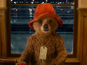 PICS: A doggie that looks exactly like Paddington Bear has become a bit of a viral sensation