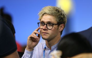 Niall Horan has lambasted Nigel Farage on Twitter