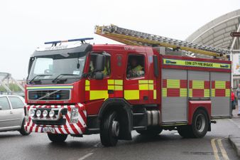 Child survives being struck by falling tree in Cork
