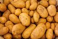 England is facing a crisp shortage and Irish people are all making the same joke