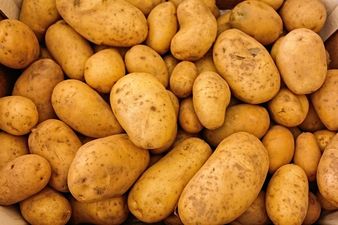 England is facing a crisp shortage and Irish people are all making the same joke