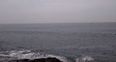 VIDEO: Cork man captures this majestic footage of dolphins in Inchydoney