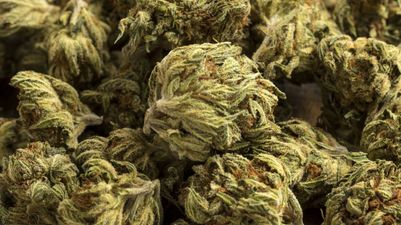 Recreational marijuana is now completely legal in Canada