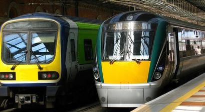 Irish Rail confirm delay to one of its services this morning due to cow on the tracks