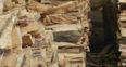 PIC: You will not be able to find the cat hidden amongst these logs