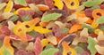 WATCH: You might stop eating sweets after seeing what they’re made of