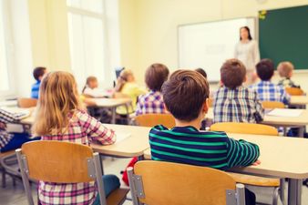 A TD has criticised a “scaremongering campaign” against sex education reforms