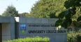 PERSONALITY QUIZ: Which Dublin college are you?