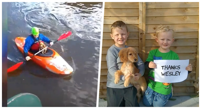 WATCH: Hero rescues stranded dog who fell into flooded river in Tipperary
