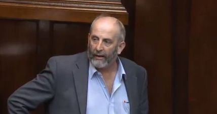 WATCH: “They hate you down there!” – Danny Healy-Rae is livid with Shane Ross’ new road bill
