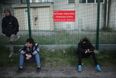 Government chief whip says taking children from Calais is “a no-brainer”