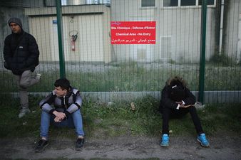 Government chief whip says taking children from Calais is “a no-brainer”
