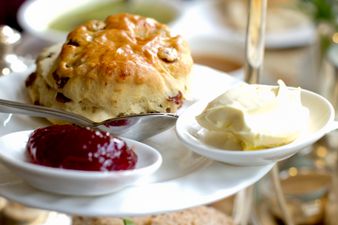The Great Scone Map shows how people in different parts of Ireland pronounce ‘scone’ differently