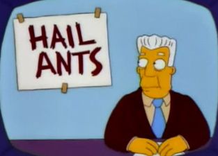 Twitter lost its mind on Sunday night over the ‘yellow crazy ants’ on Planet Earth 2