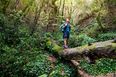 UN report to highlight urgent need for Nature rescue plan