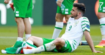 PICs: Shane Long’s wonderful gesture to young fan after Euro 2016 defeat has only just been revealed