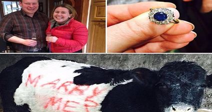 PICS: Irish farmer proposes to his girlfriend by spray-painting ‘Marry Me?’ on a cow