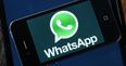 PIC: A Junior B GAA player has been brutally honest in the club WhatsApp group