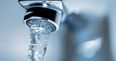 Plastic pollution in drinking water means you could be swallowing five grams of plastic fibres every week