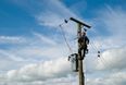ESB warns that any abortion referendum posters attached to electricity poles will be removed